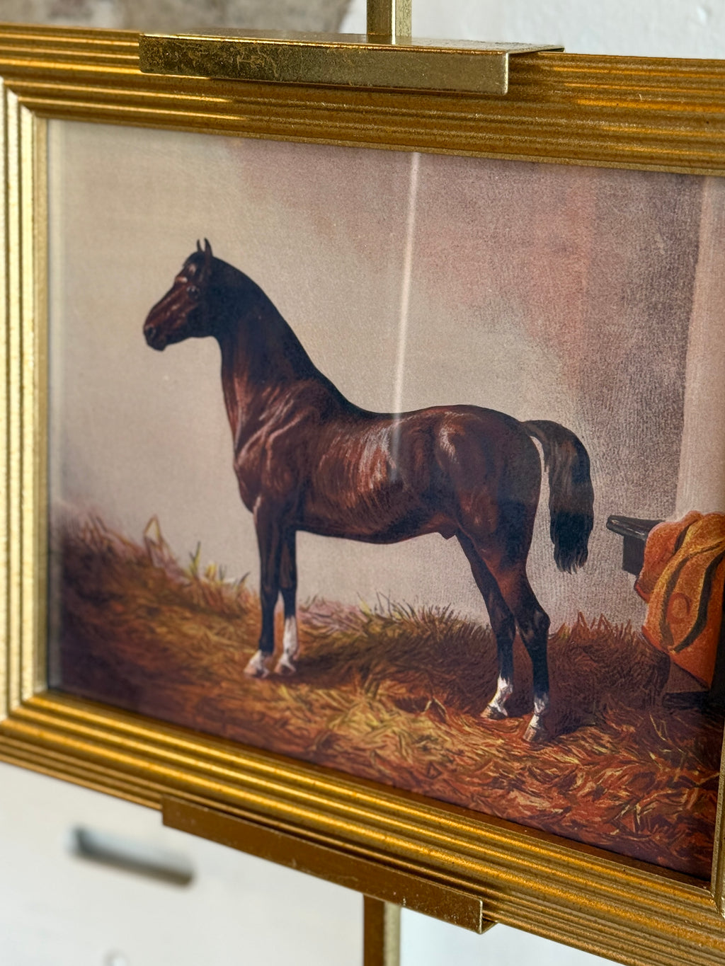 Classic Sporting Horse Framed Portrait