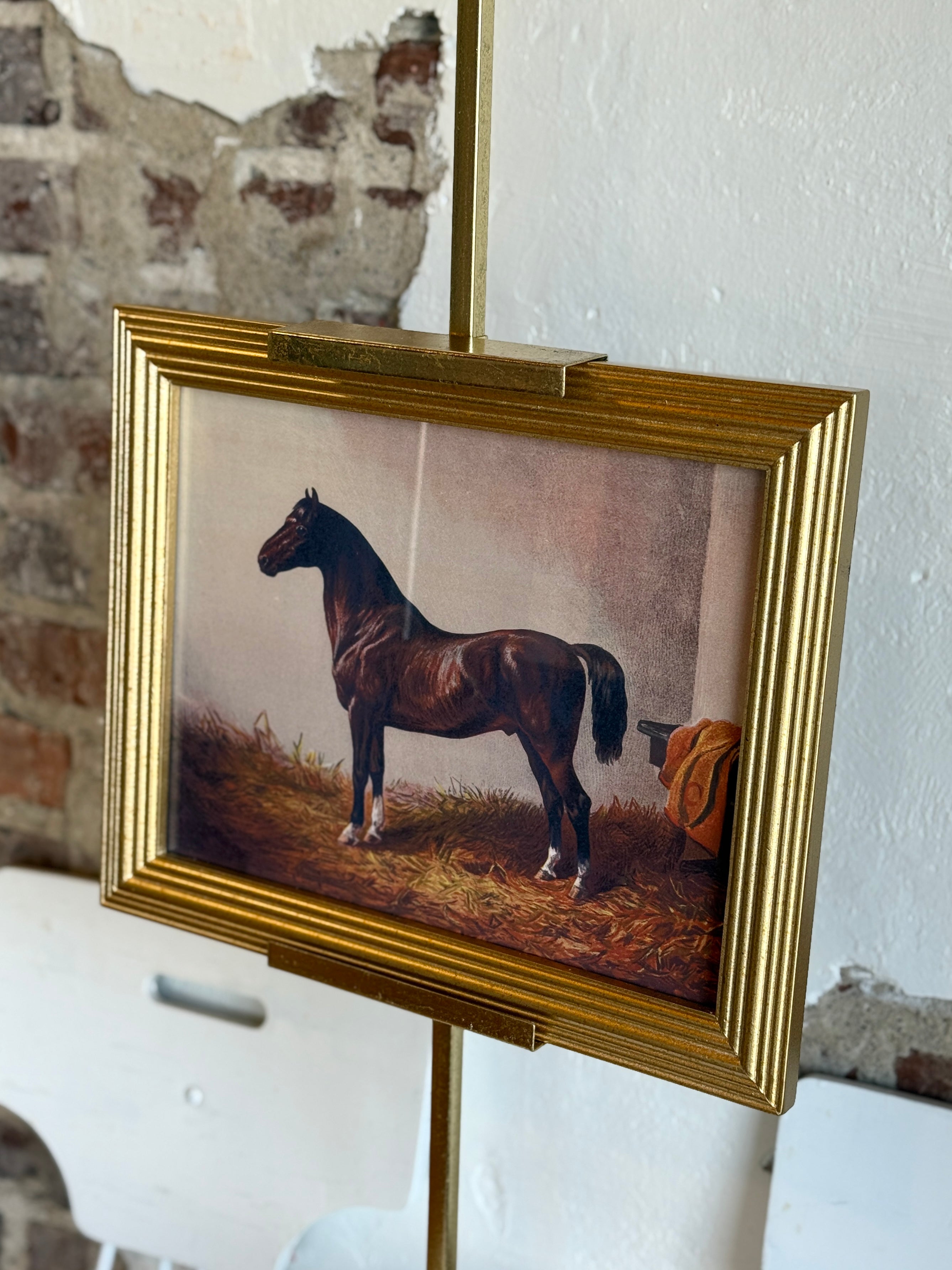 Classic Sporting Horse Framed Portrait