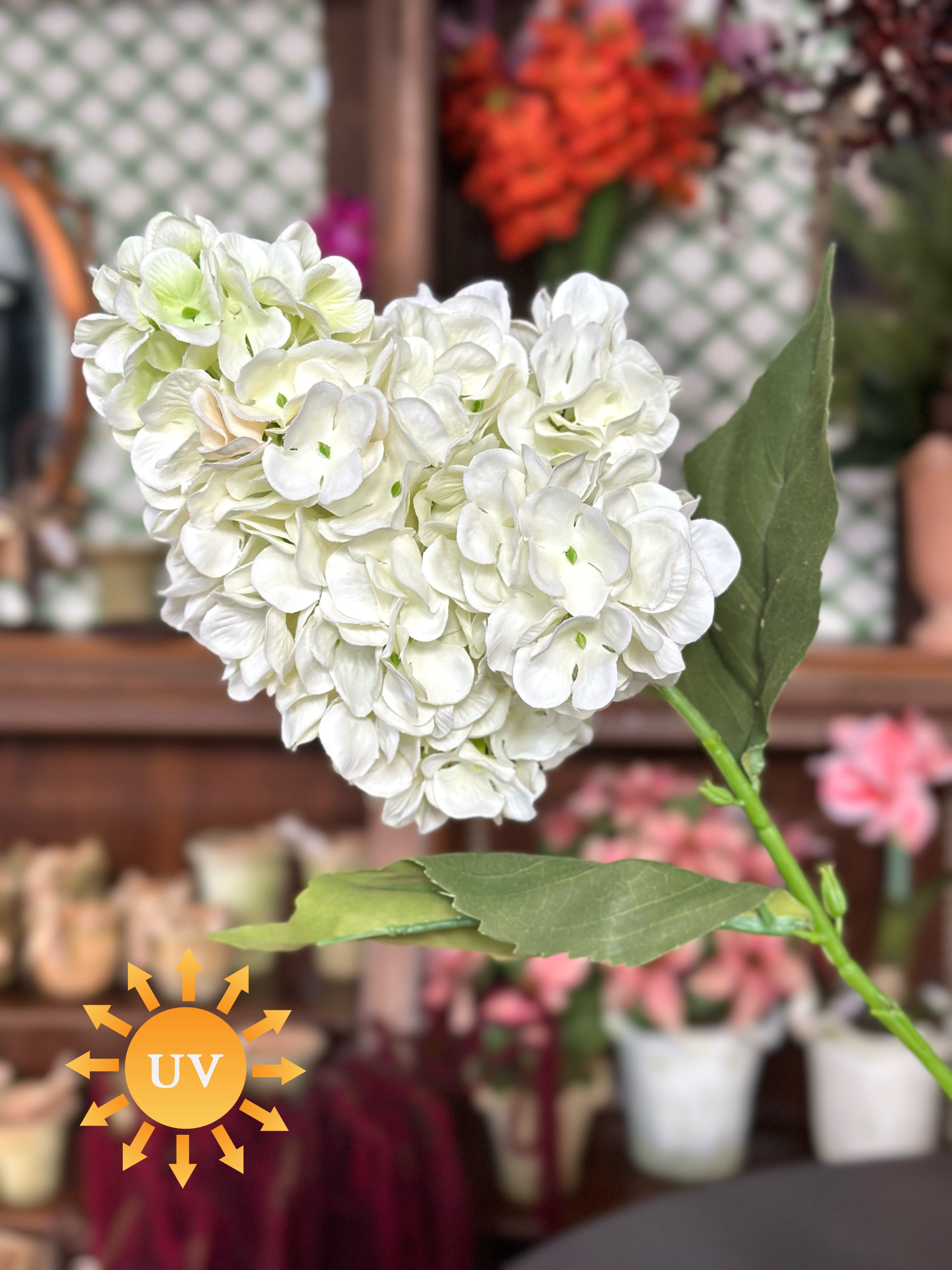 29" UV GRANDE SUMMER PEEGEE HYDRANGEA- CREAM