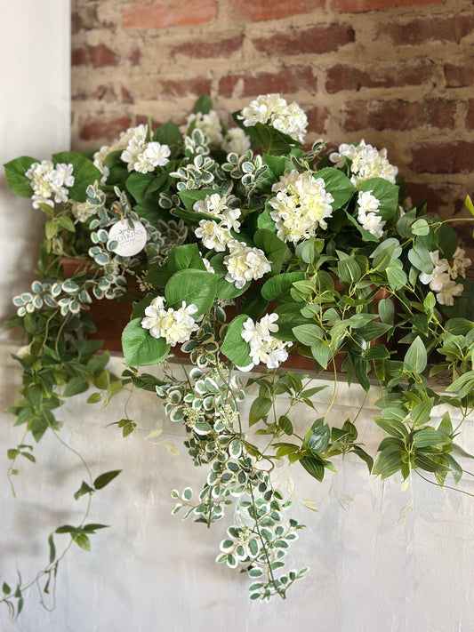 Window Box White Hydrangea & Buttonbush Plant