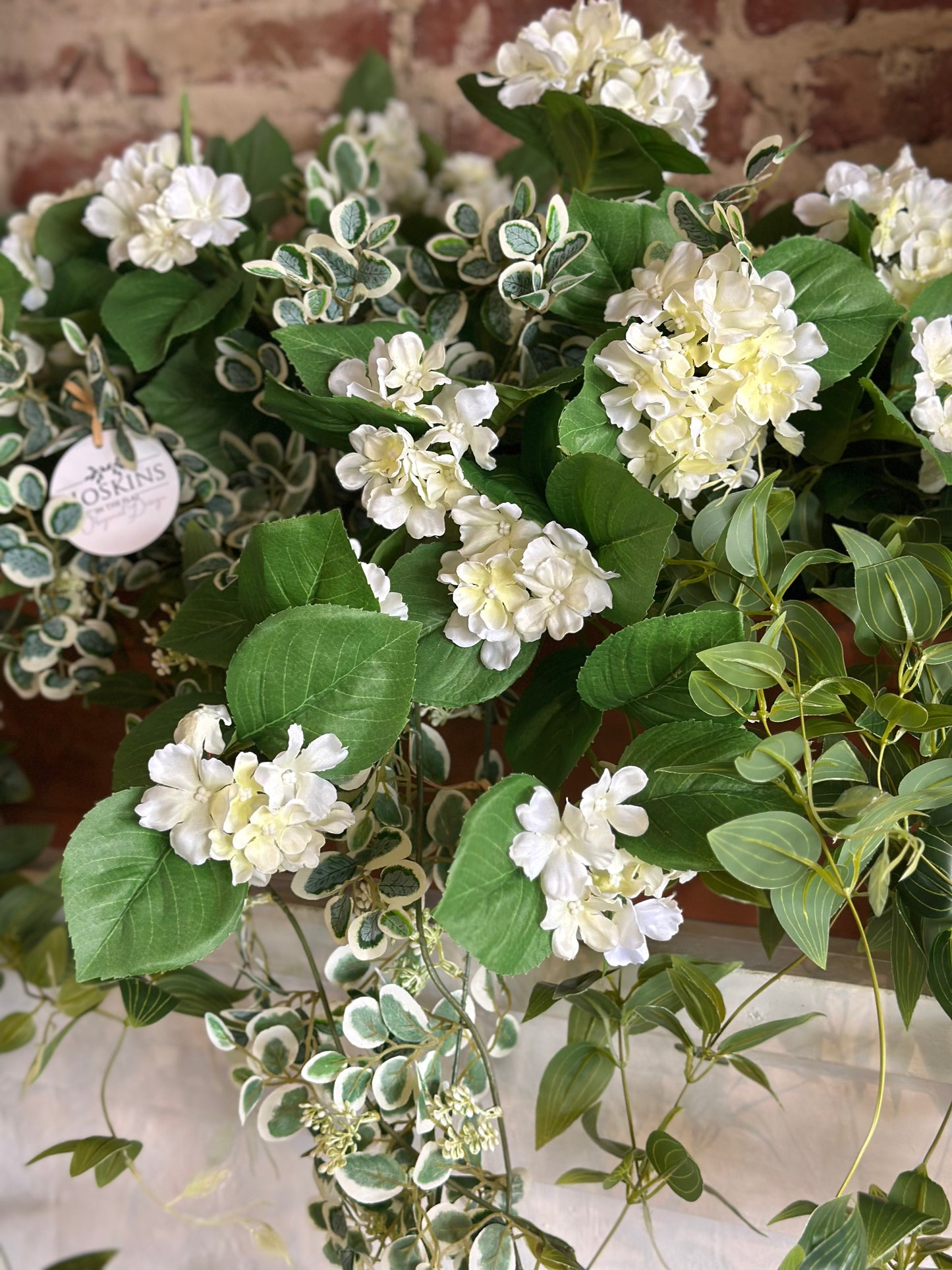 Window Box White Hydrangea & Buttonbush Plant