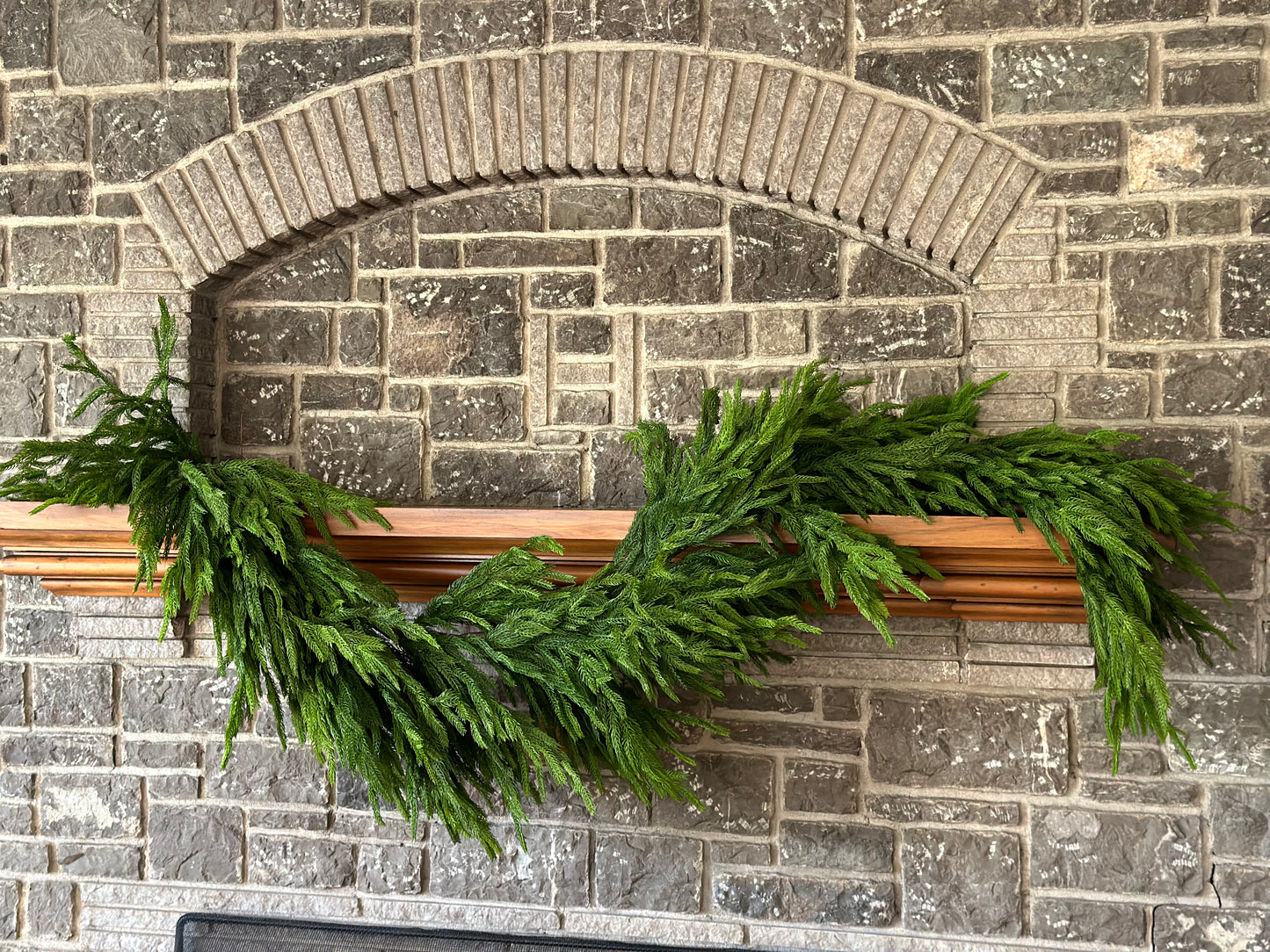 6' Natural Touch Norfolk Pine Garland