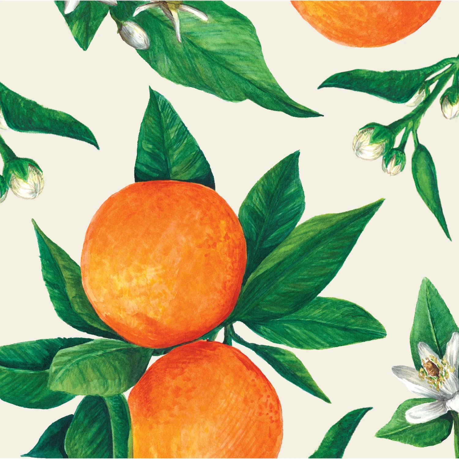 Hester & Cook “Orange Orchard" Paper Cocktail Napkins