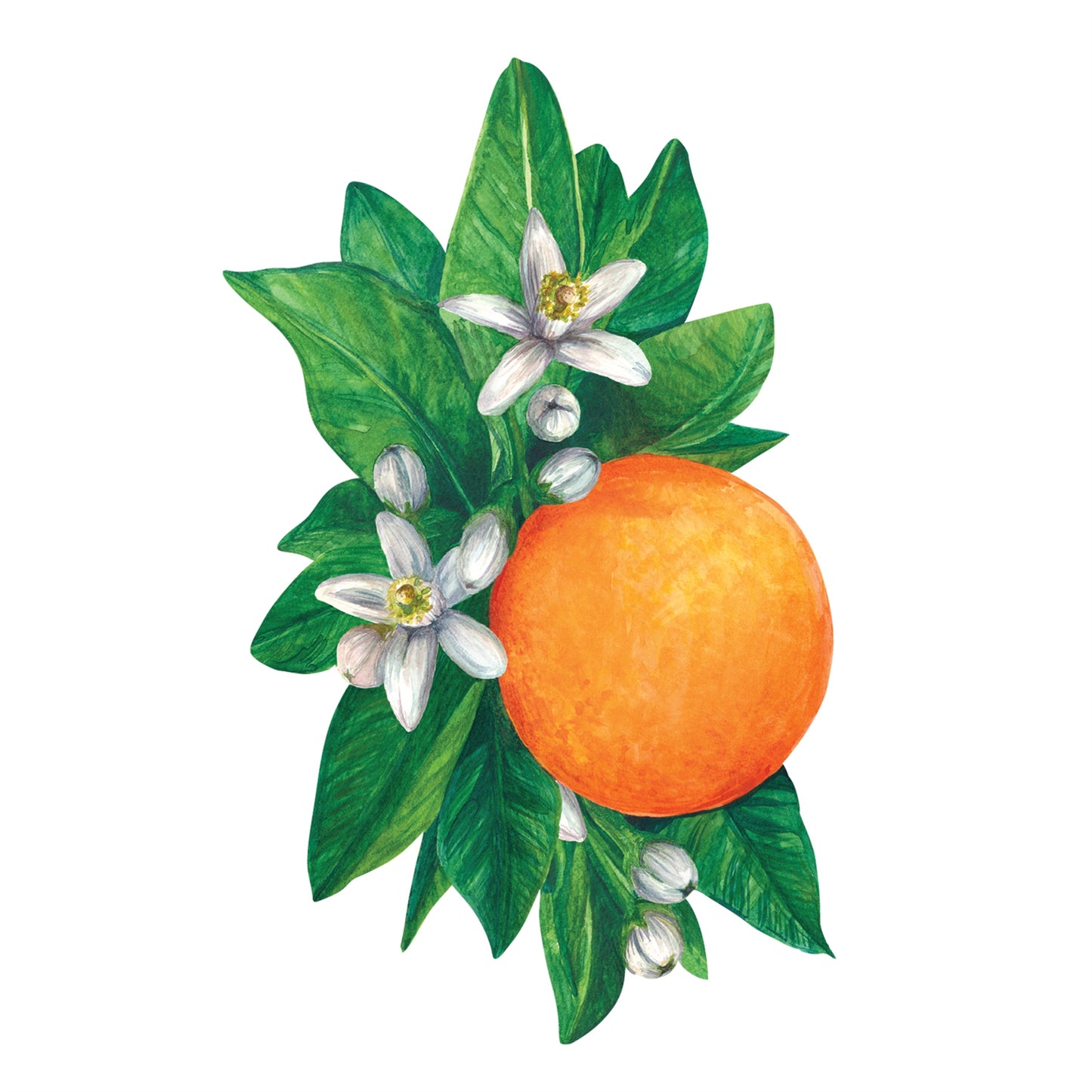 Orange Blossom Table Accents