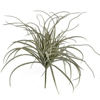 20" Curly Grass Bush