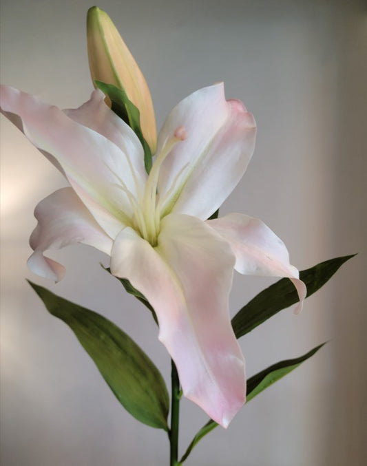Soft pink lily stem 32"