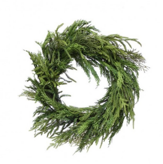 26" Cyprus/ Norfolk Pine Wreath