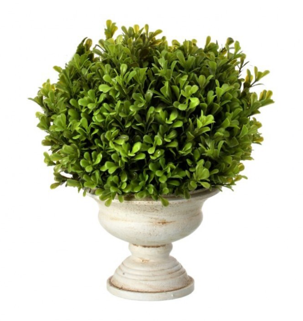 11" Spring Boxwood Ball in Urn
