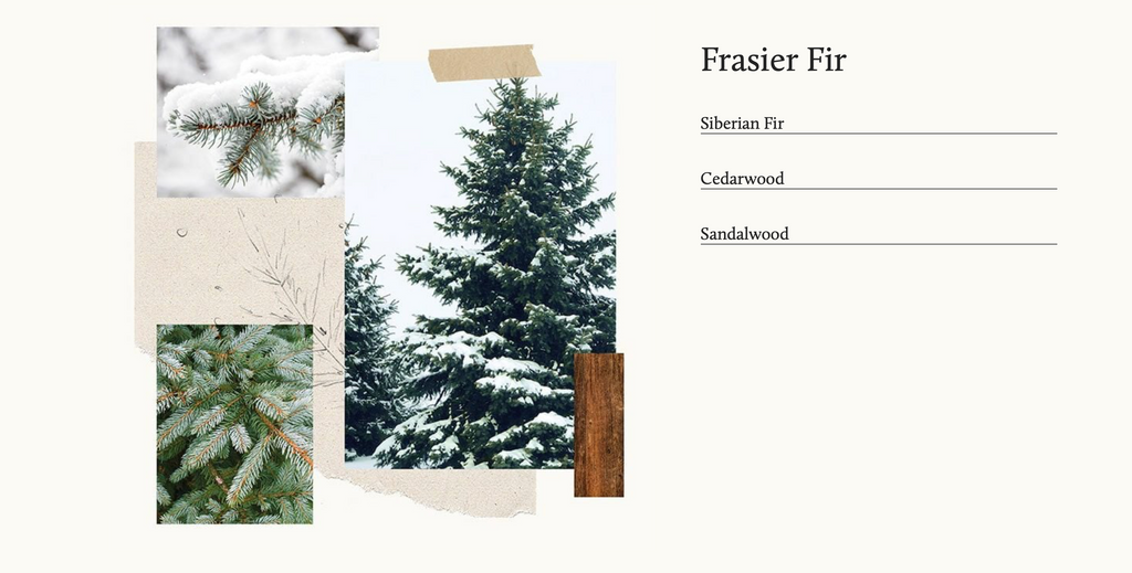 Thymes Frasier Fir Pura Diffuser Refill