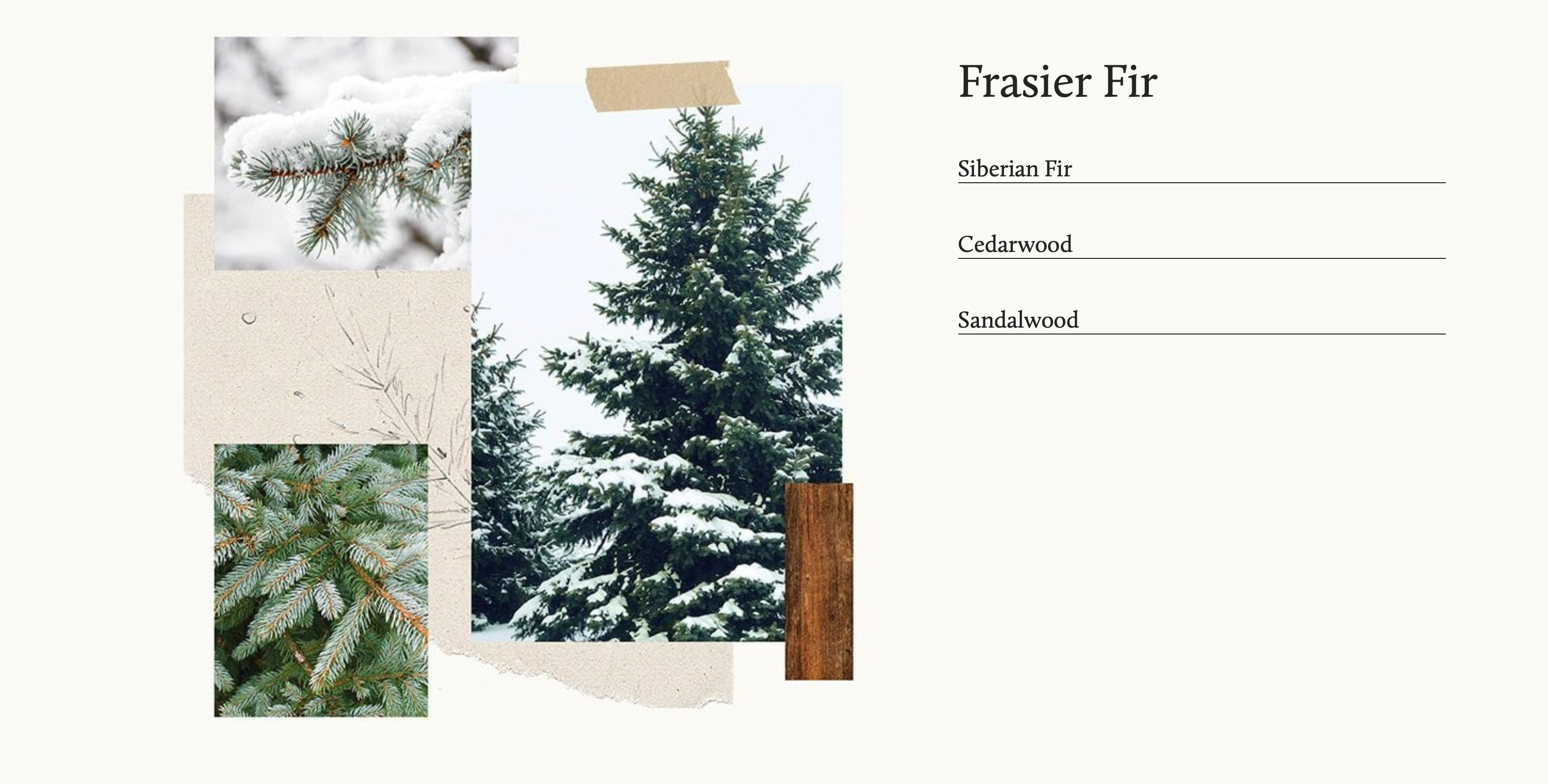 Thymes Frasier Fir Pura Diffuser Refill