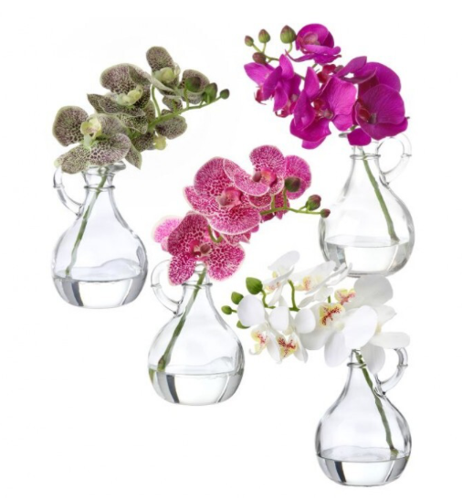 9" Phaleanopsis in Glass w/ Handle