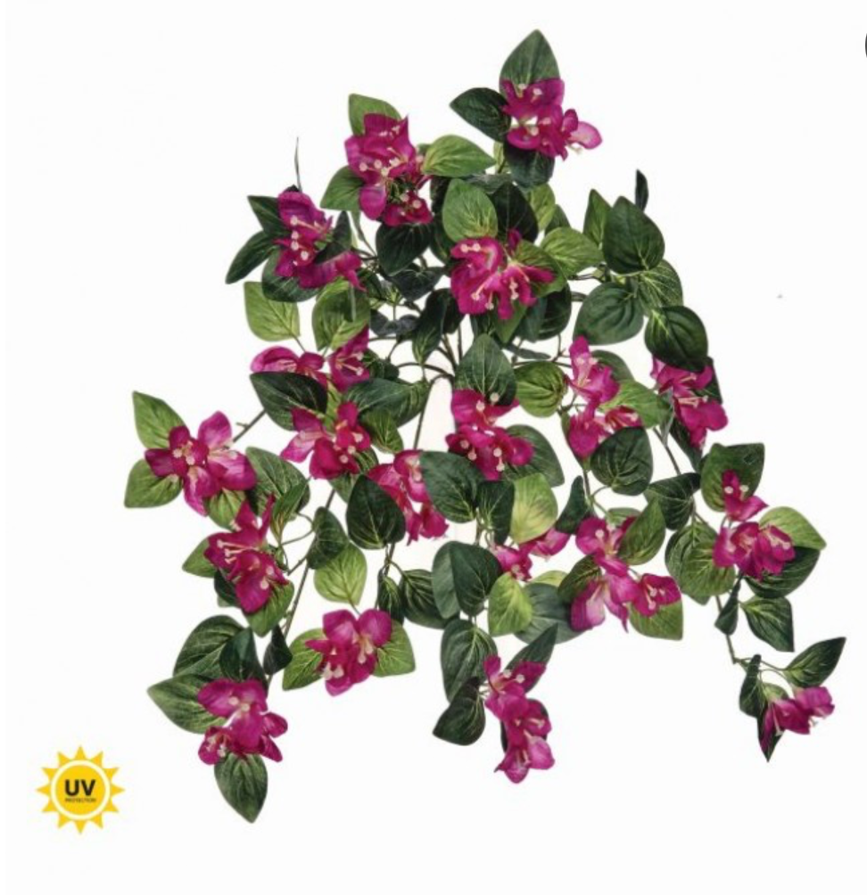 25" UV-Rated Hanging Bougainvillea Plant