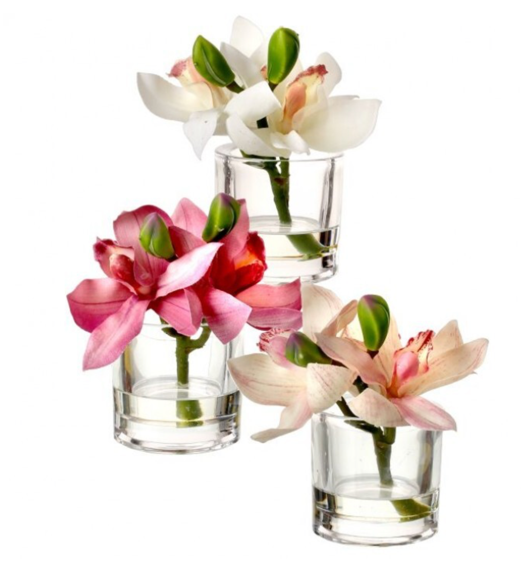 6" Cymbidium Buds in Illusion Vase
