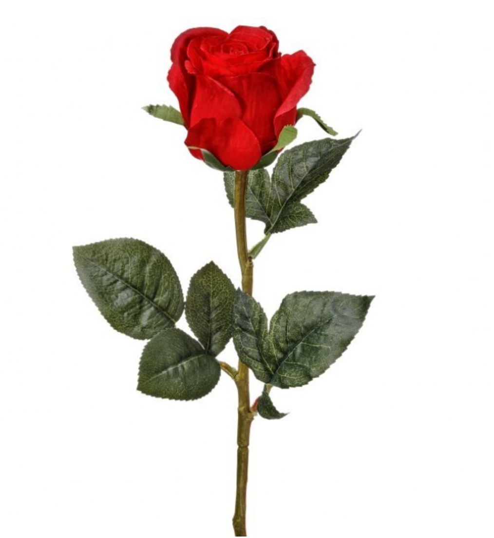 21" Rina Rose Bud Stem