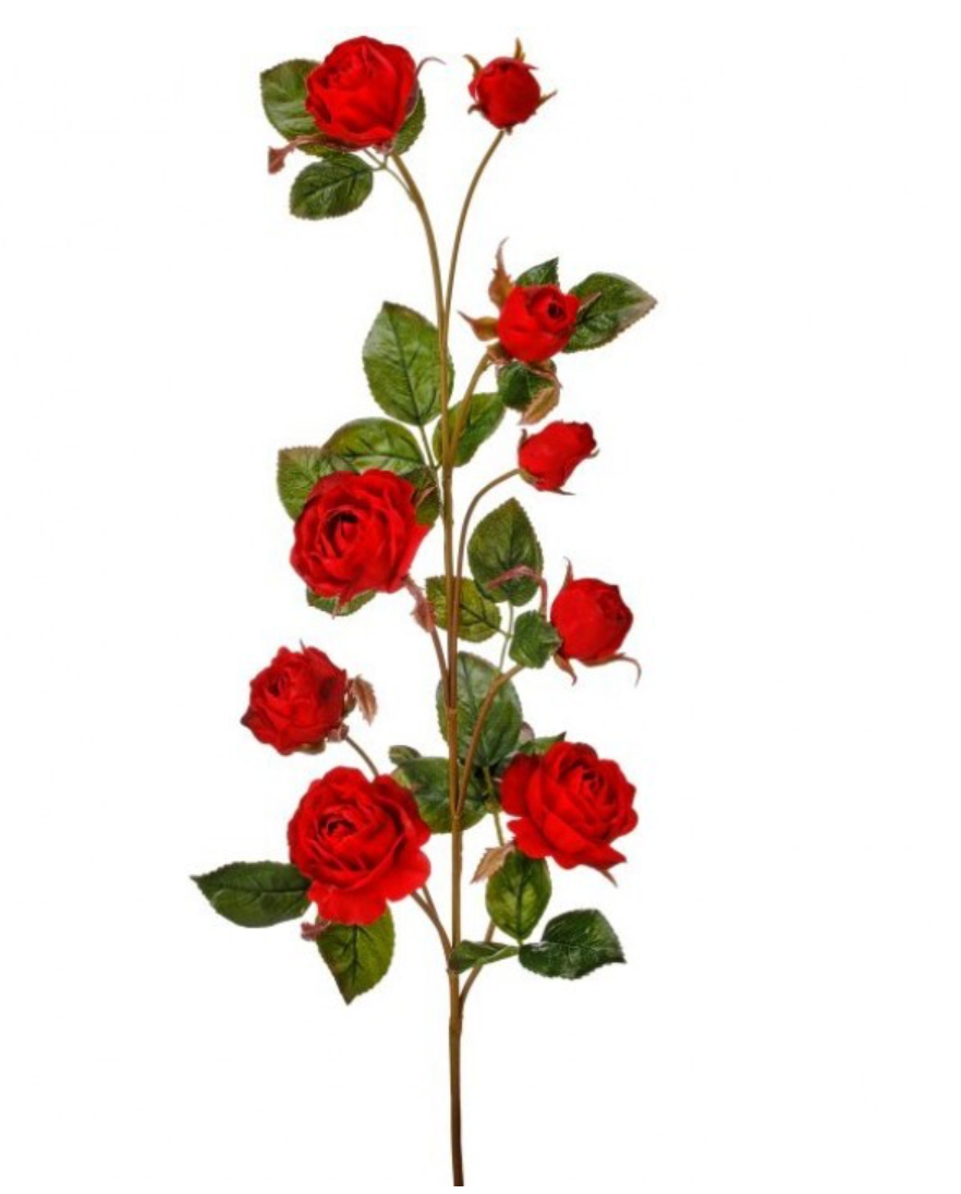37" Just Cut Garden Rose Branch