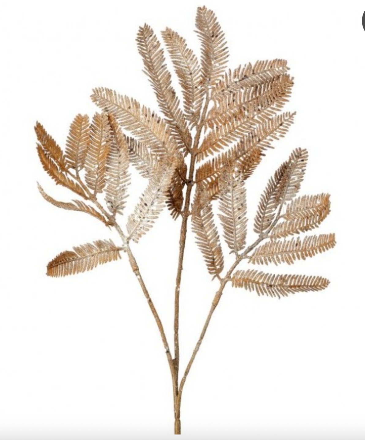 20” Winter Forest Fern Spray - Acorn