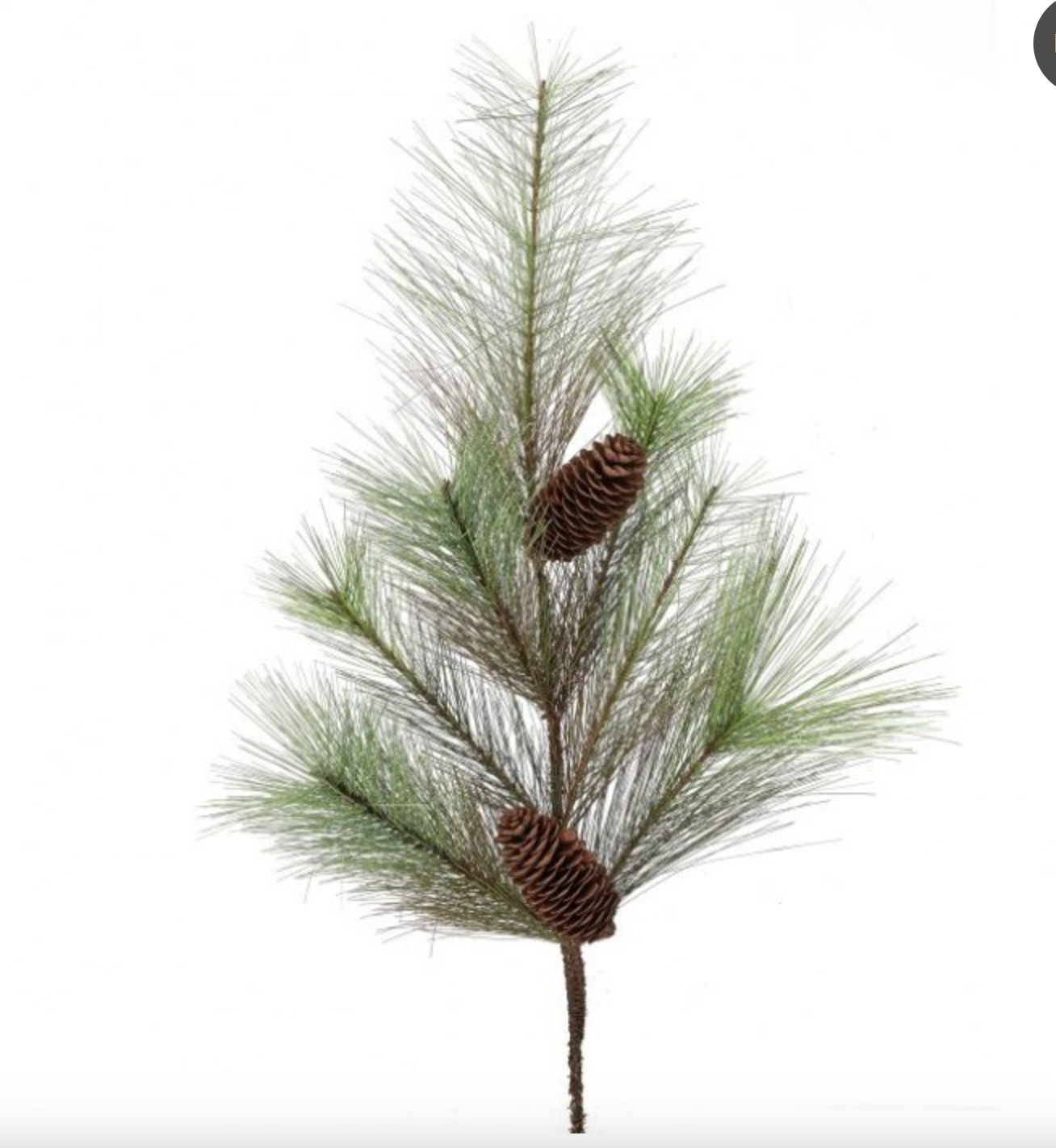 30" BRISTOL PINE SPRAY W/CONE