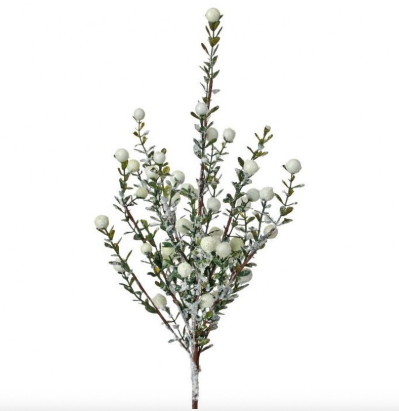21" FROSTED WHITE BERRY PRIVET SPRAY