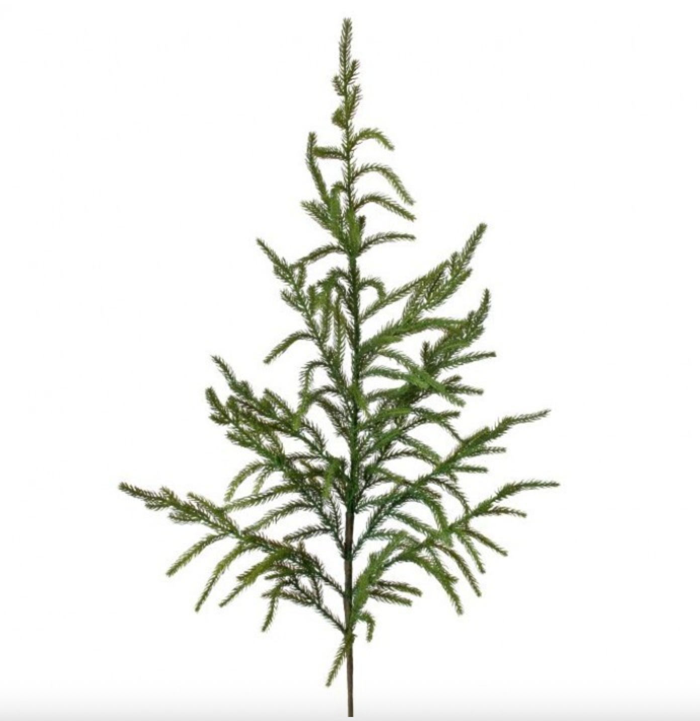 38" NATURAL TOUCH NORFOLK PINE SPRAY