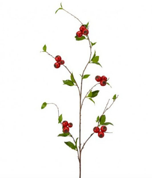54" NORTHERN BERRY SPRAY