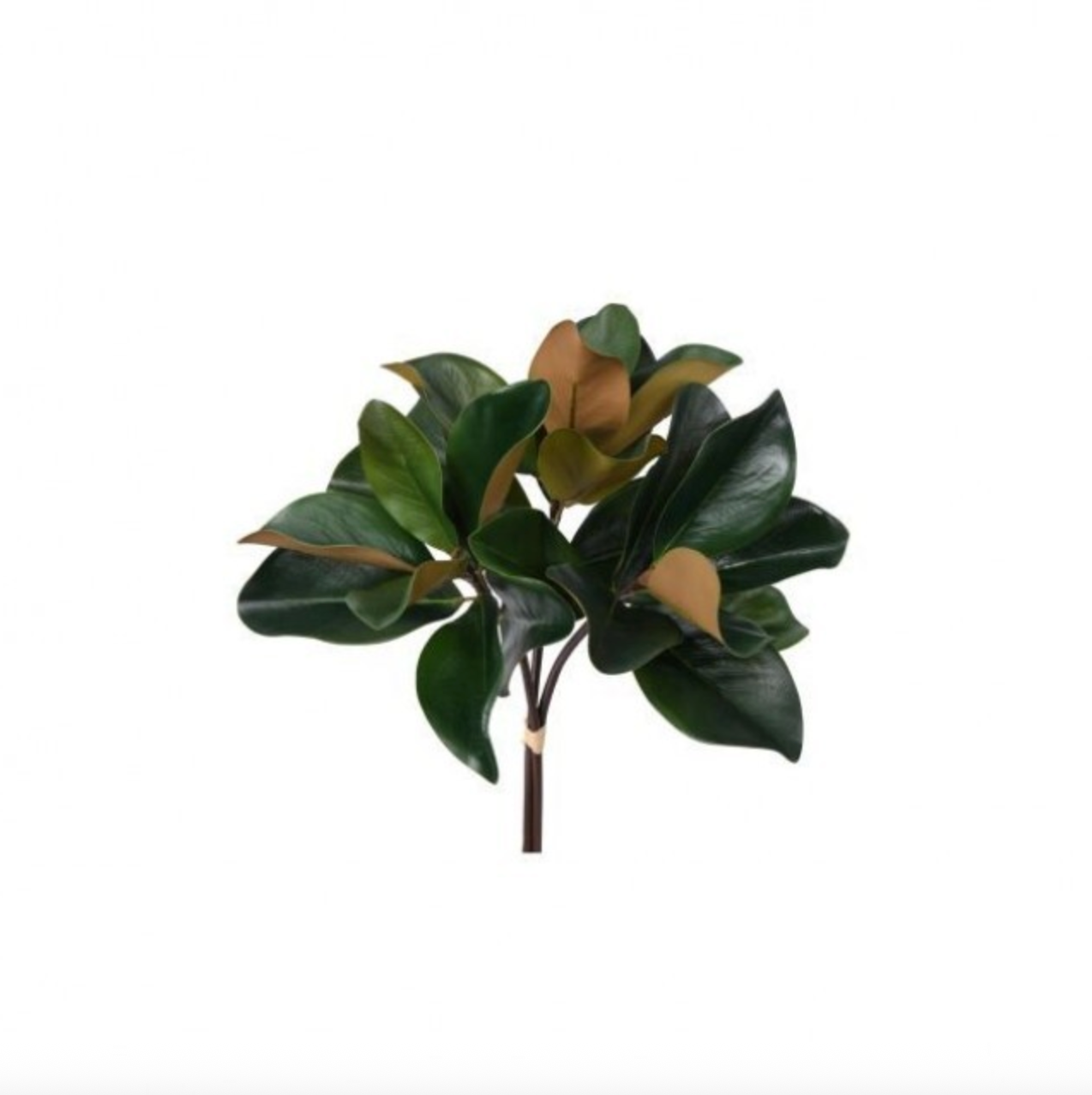 18" CHARLESTON MAGNOLIA BUNDLE