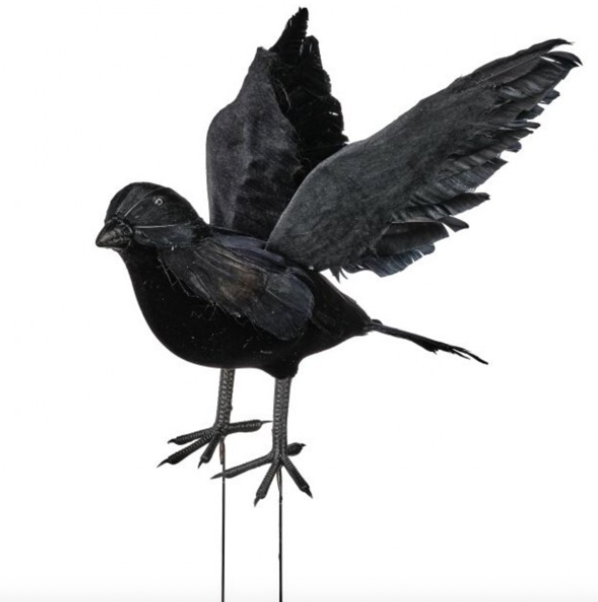 9" OPEN WING FEATHER BLACK CROW