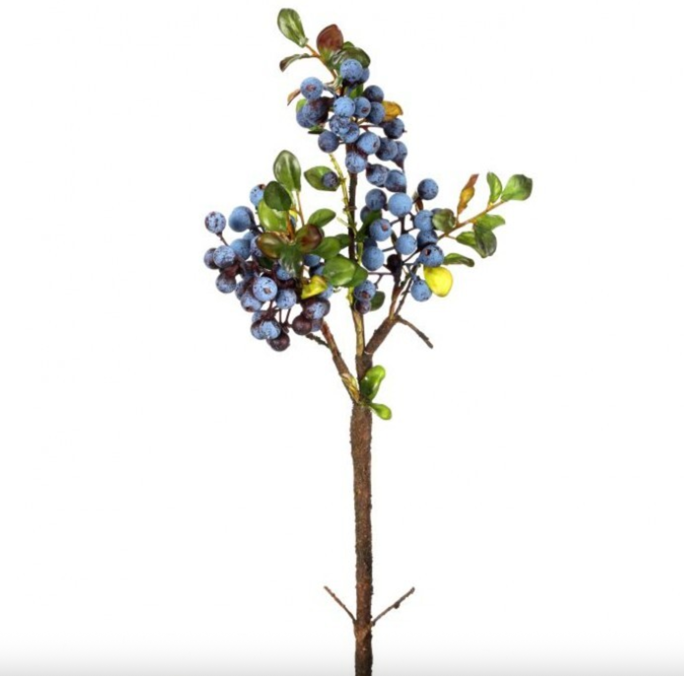 BLUEBERRY CLUSTER X3 18"