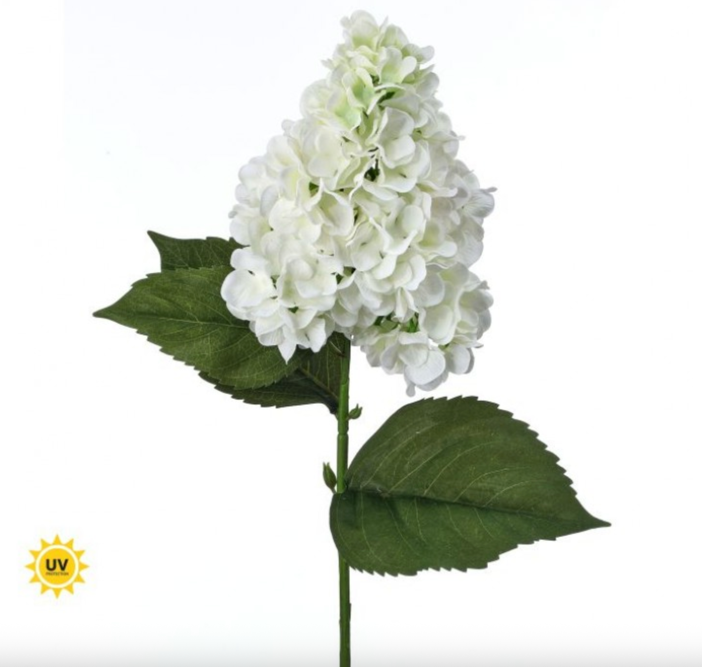 29" UV GRANDE SUMMER PEEGEE HYDRANGEA- CREAM