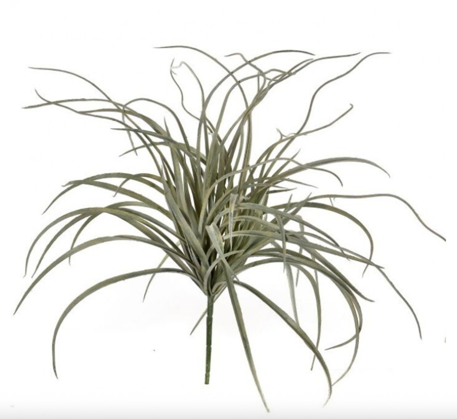 20" CURLY GRASS BUSH (COLOR OPTIONS)