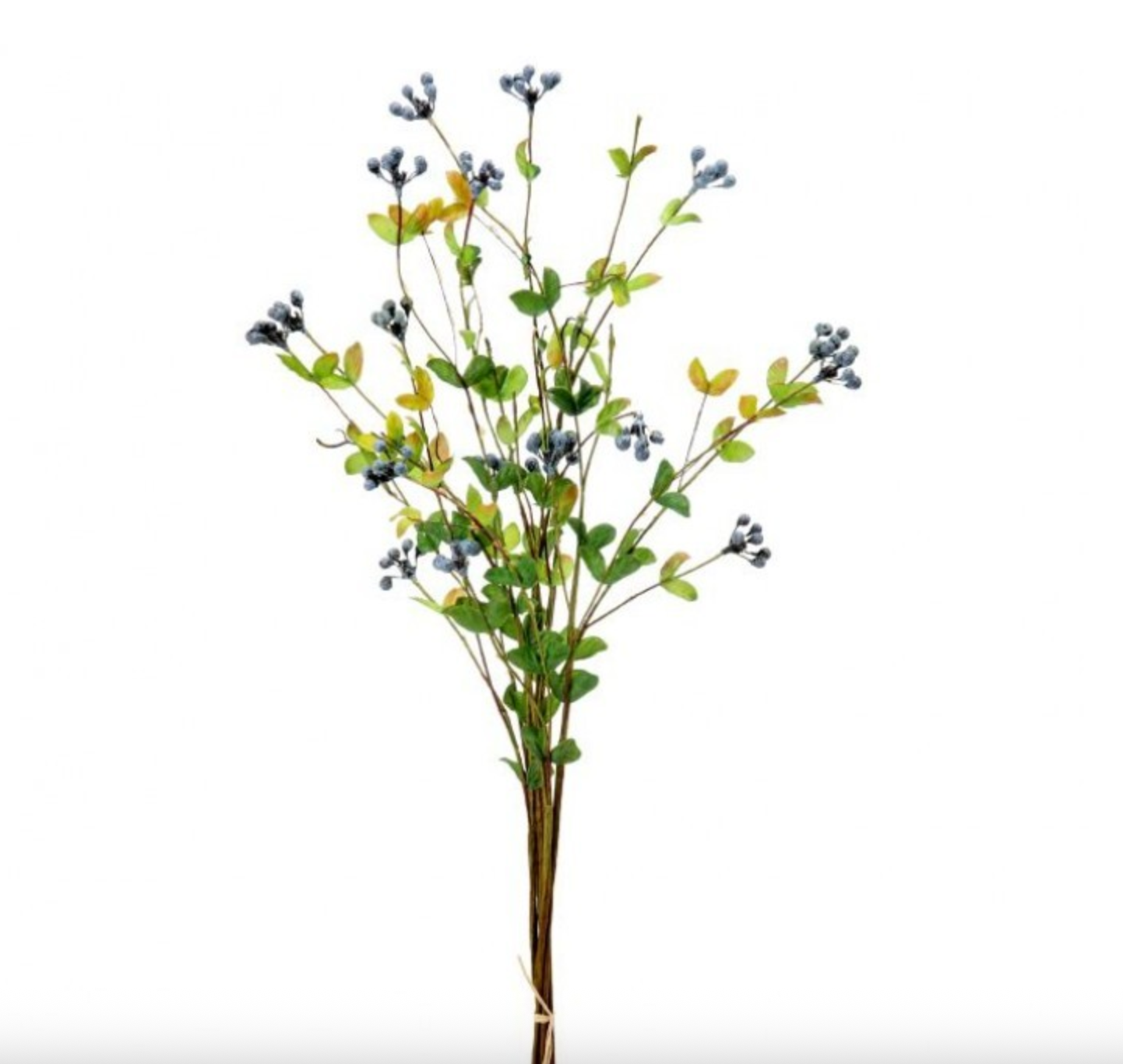 WILD BLUEBERRY BUNDLE X6 19"