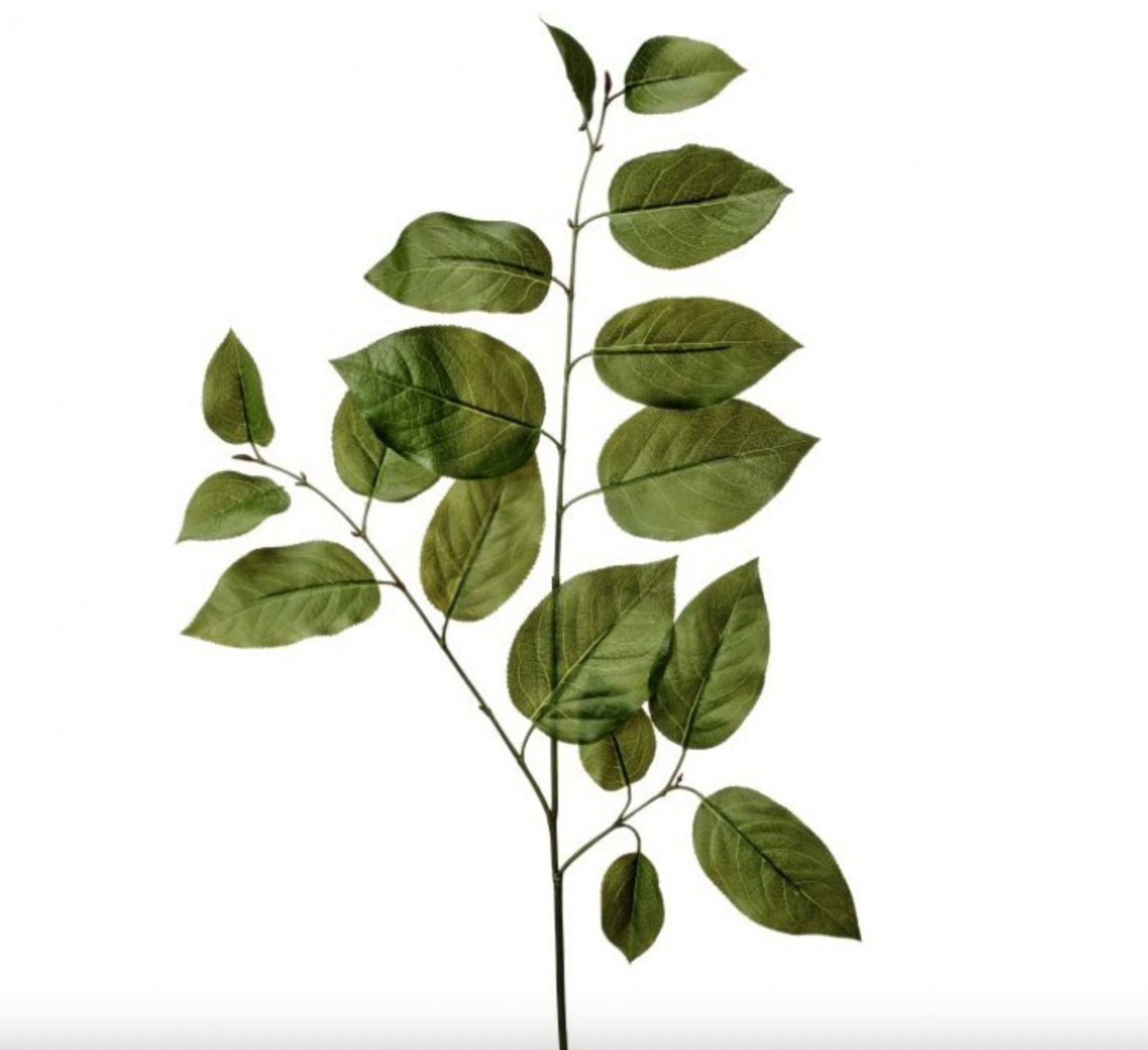 NATURAL TOUCH TRIPLE SALAL LEAF SPRAY 31"