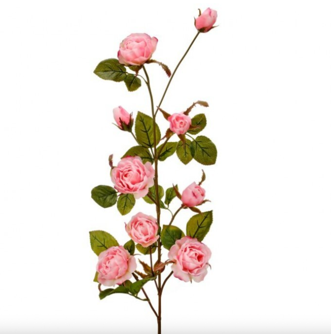 37" JUST CUT GARDEN ROSE BRANCH- PINK