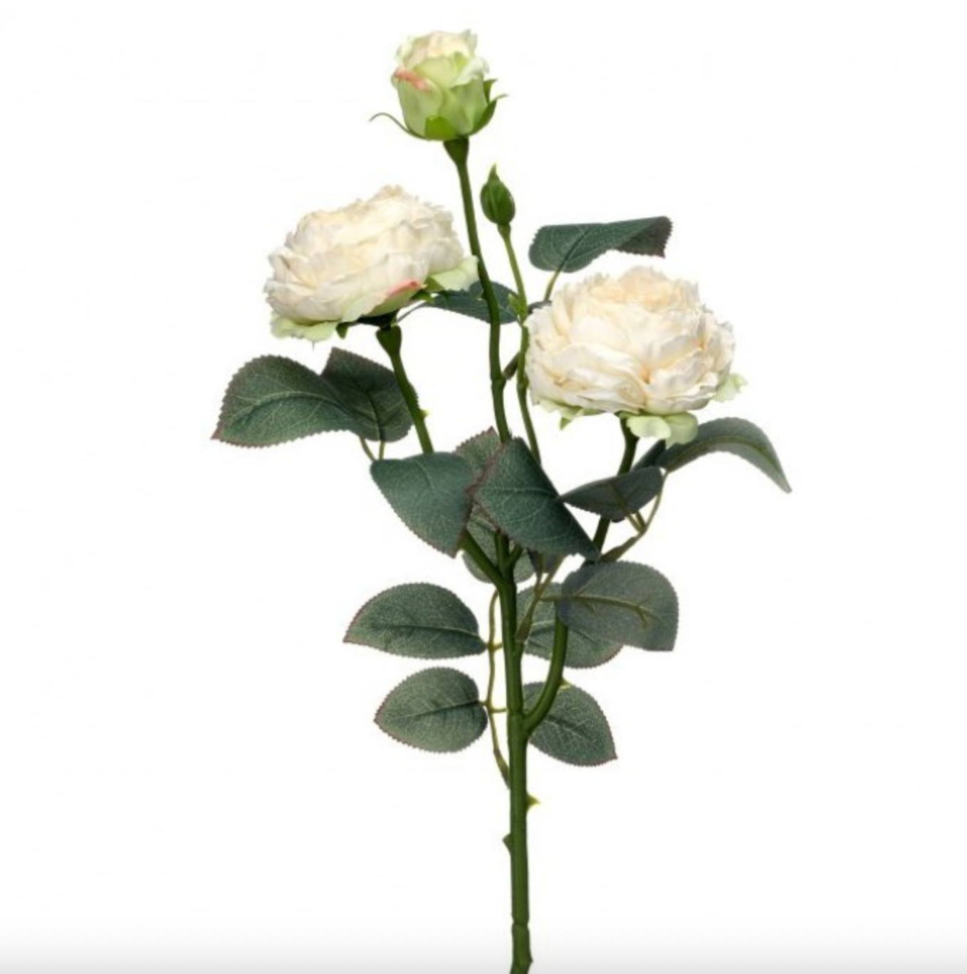 21" VINTAGE "FREEZE DRY" GARDEN ROSE- CREAM