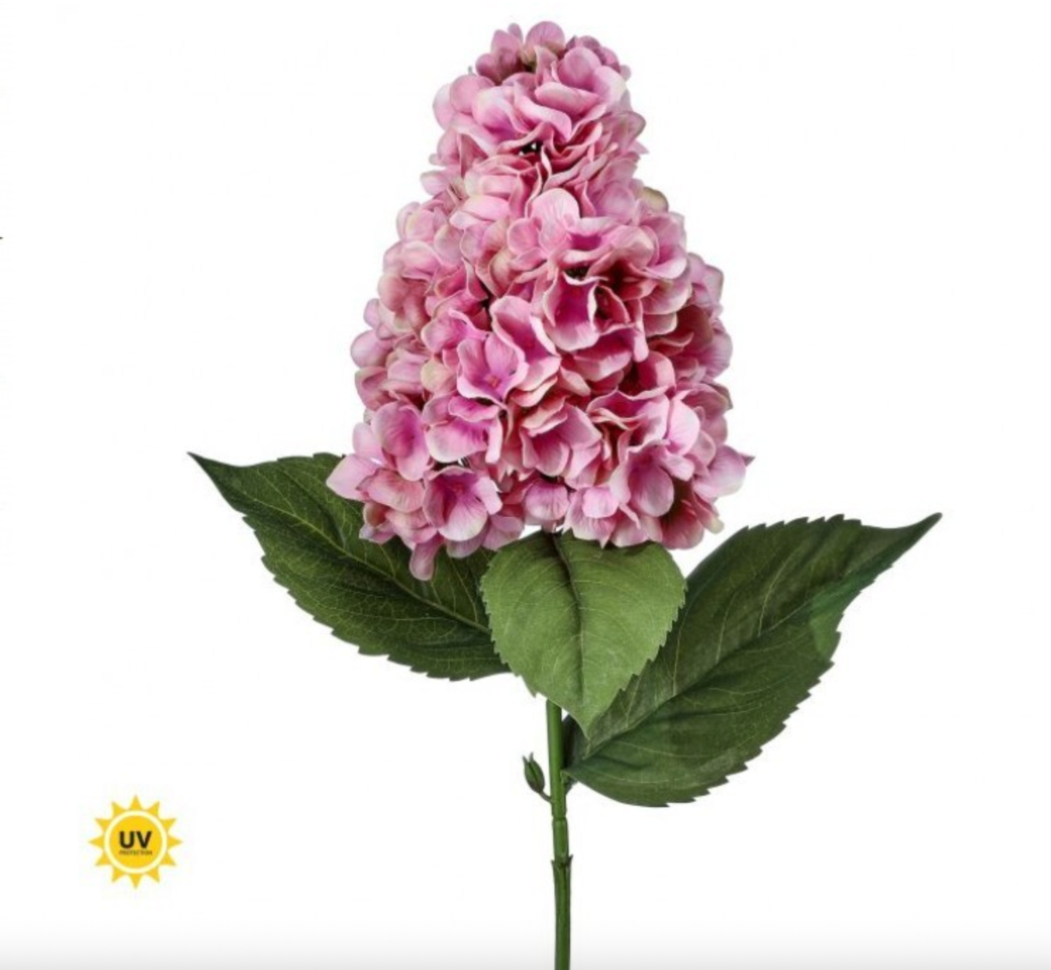 29" UV GRANDE SUMMER PEEGEE HYDRANGEA