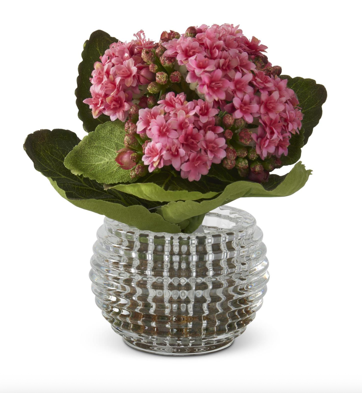 7.5" Pink Kalanchoe Premade in Pressed Glass Vase w/Faux Moss