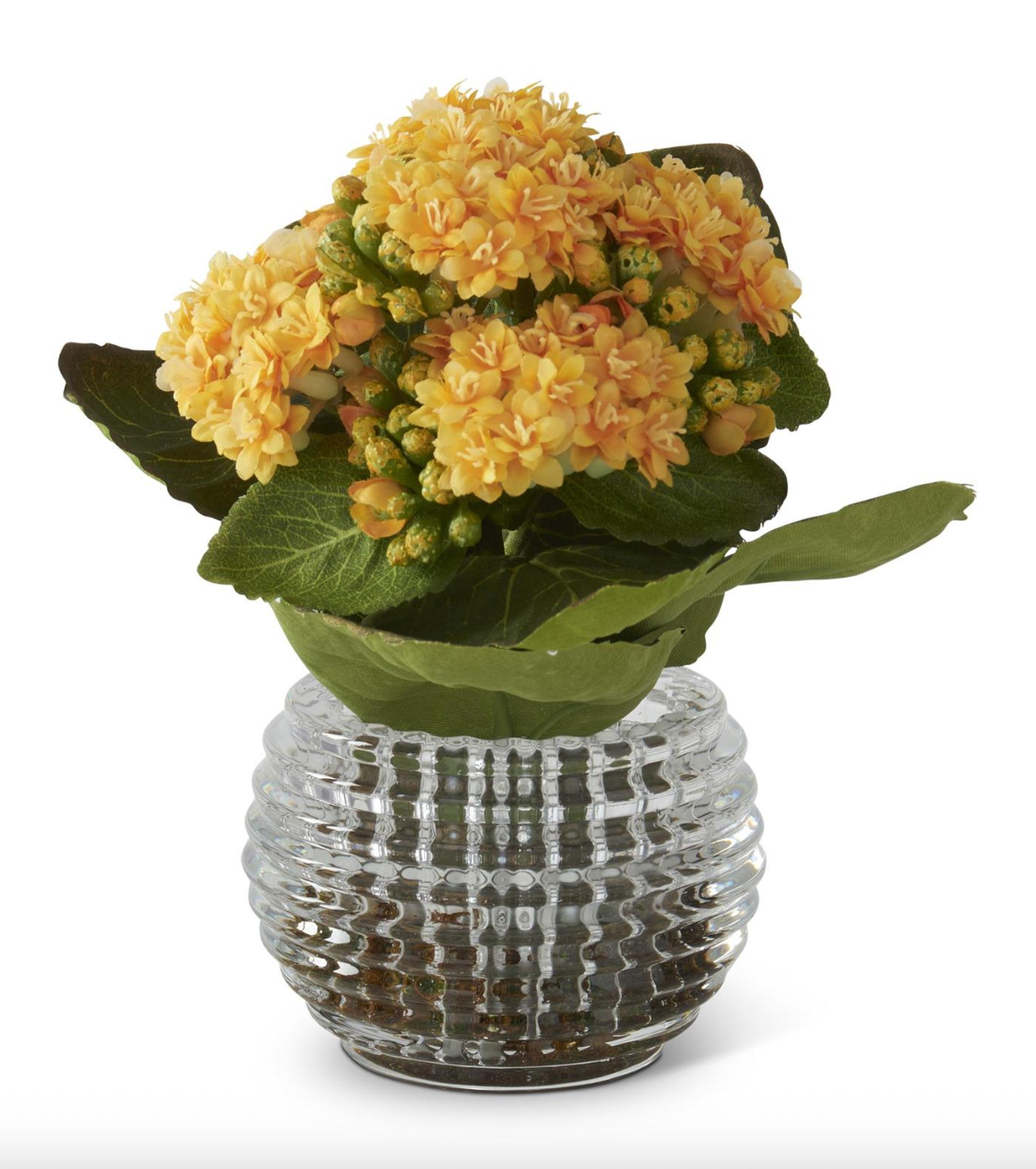 7.5" Yellow Kalanchoe Premade in Pressed Glass Vase w/Faux Moss