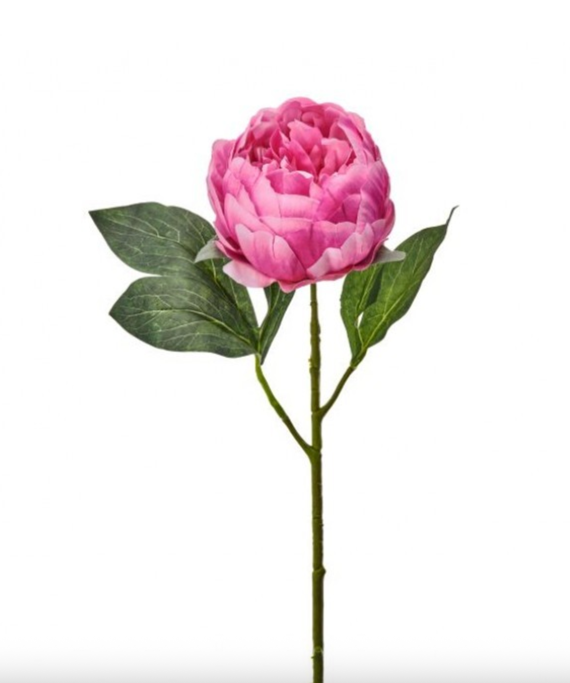 21" LOVELY PEONY STEM