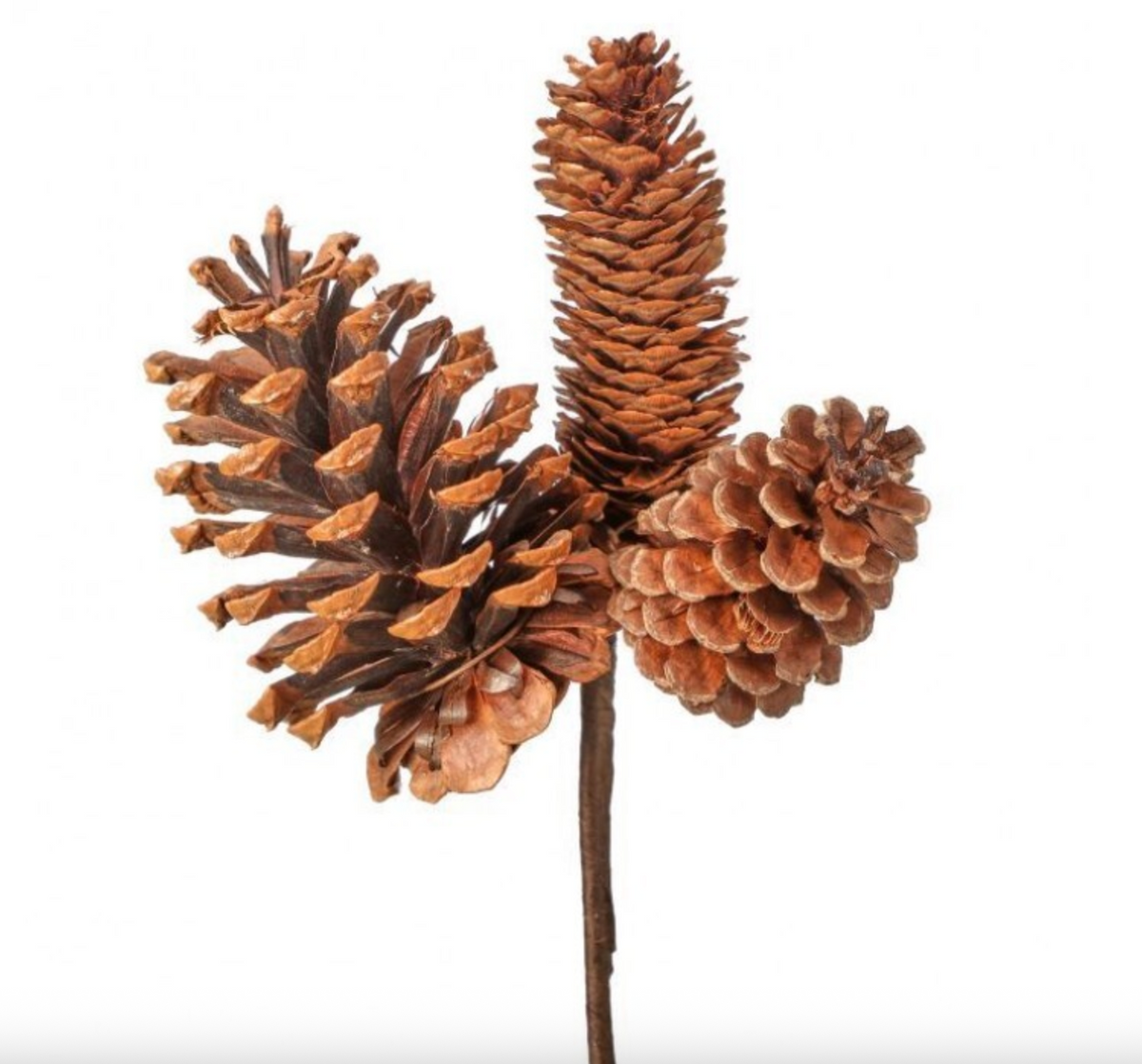 11" NATURAL MIXED CONE X3 PICK