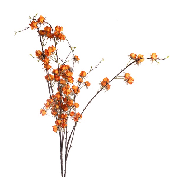 MINI CHINESE LANTERN SPRAY ORANGE