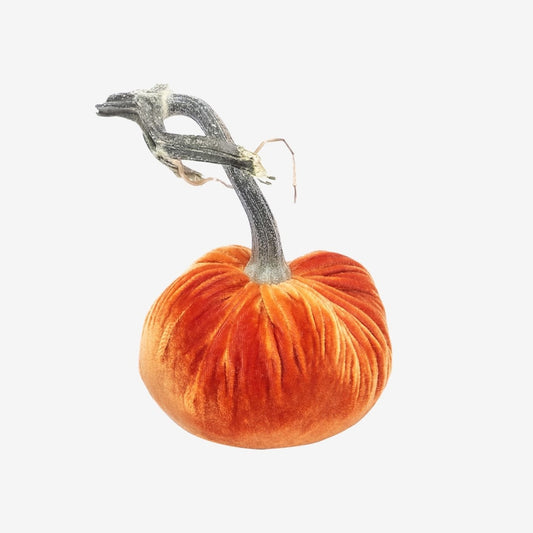 Hot Skwash 5" Velvet Pumpkin