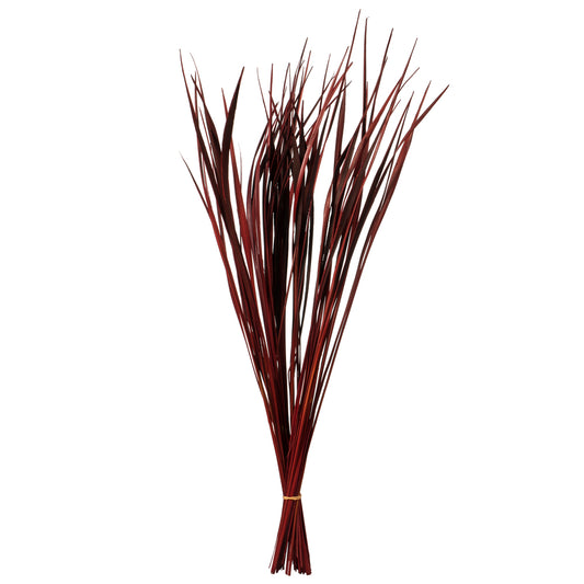 28" Red Splinter Grass, 11 oz Bundle, Dried