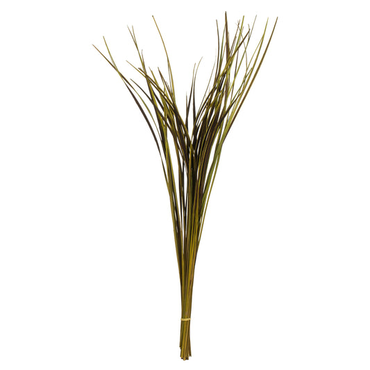 28" Basil Splinter Grass, 11 oz Bundle, Dried