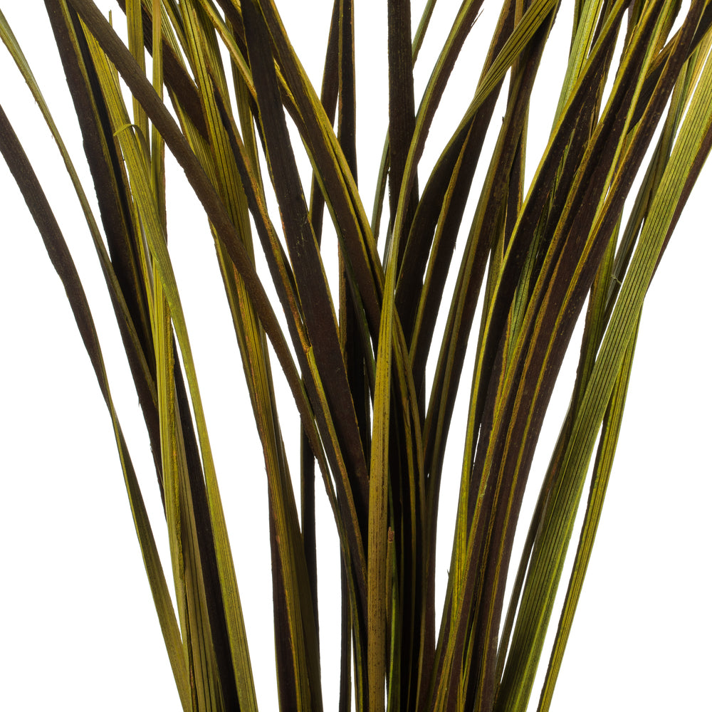 28" Basil Splinter Grass, 11 oz Bundle, Dried