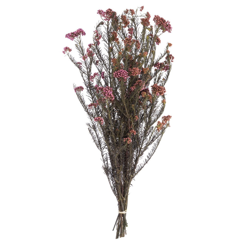 16" Purple Orchid Rice Flower