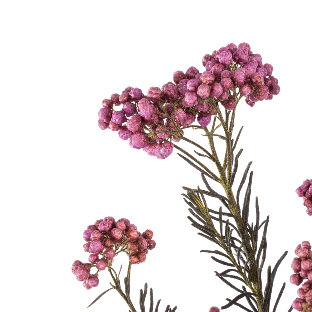 16" Purple Orchid Rice Flower