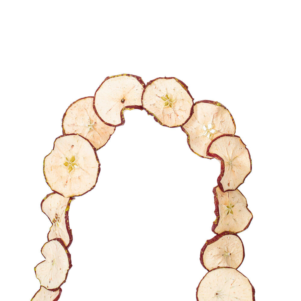 10' Natural and Dried Sliced Apple Garland