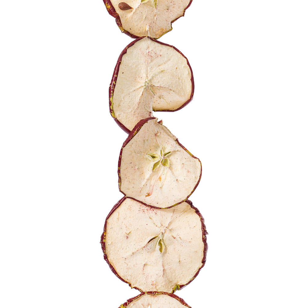 10' Natural and Dried Sliced Apple Garland