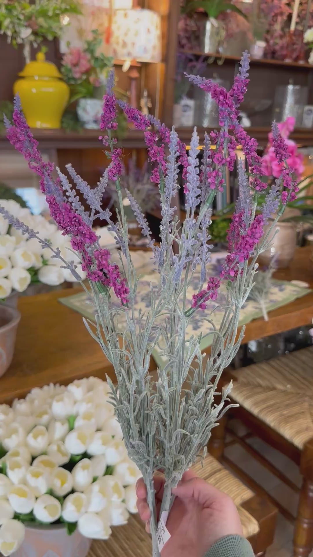 22" English Lavender Bush