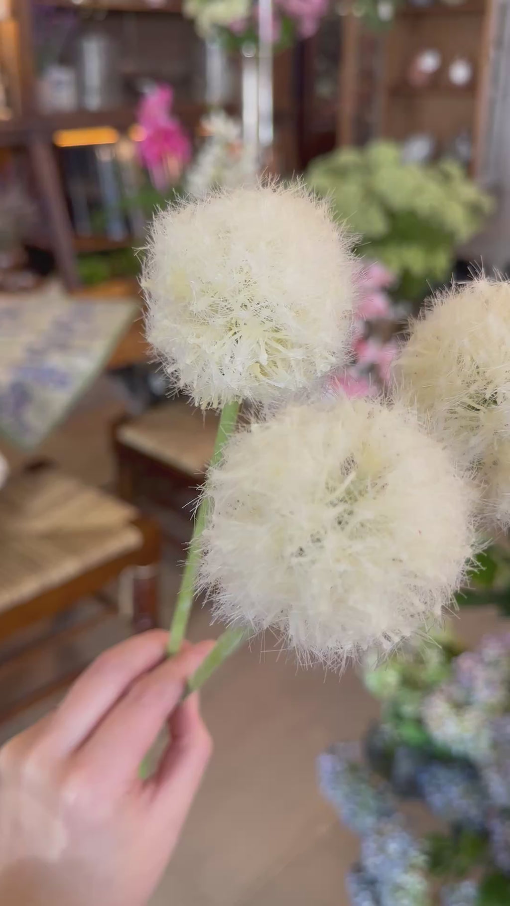 19" Flocked Dandelion Bundle