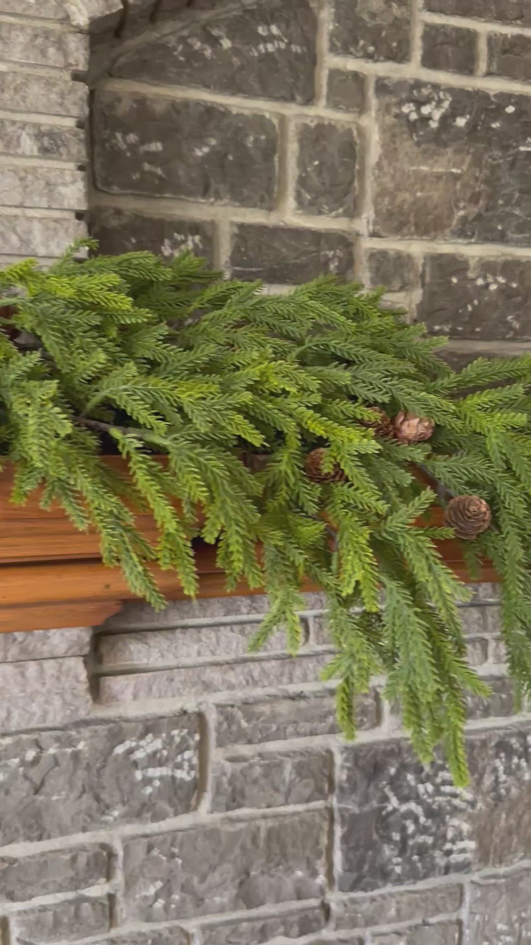 66" COLORADO SPRUCE GARLAND
